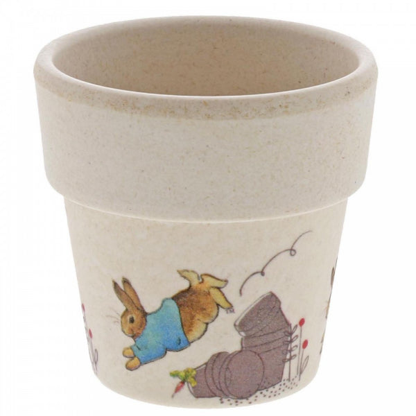 Peter Rabbit Bamboo Egg Cup Set