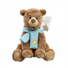 Bear Hunt Cuddly Bear